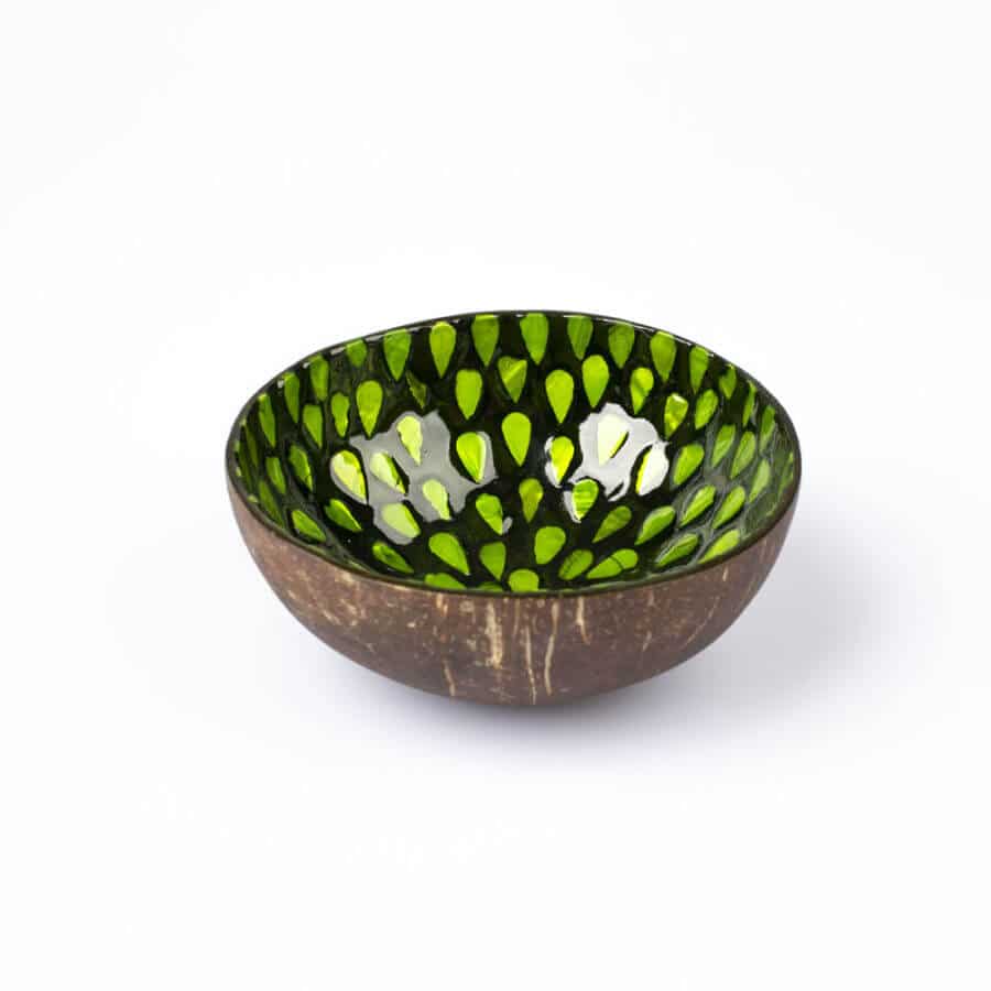 Kokosnussschale Shop 2 neu web Kokosnussschale Grün Perlmutt von schräg oben